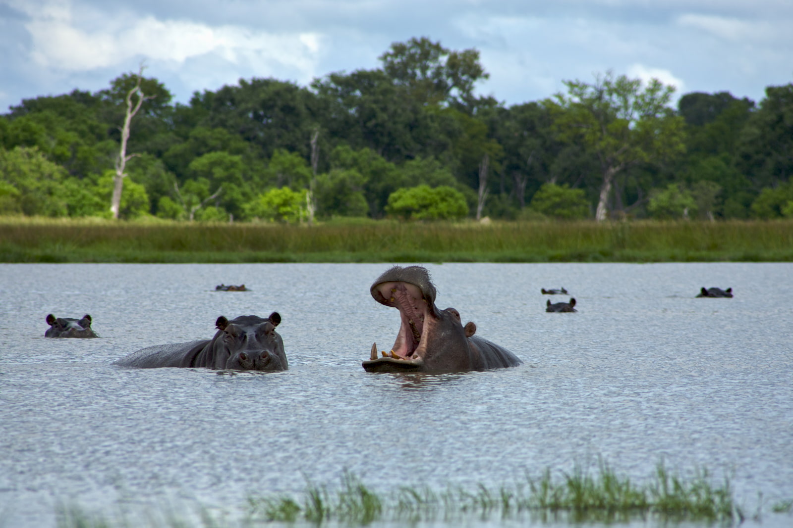 national park