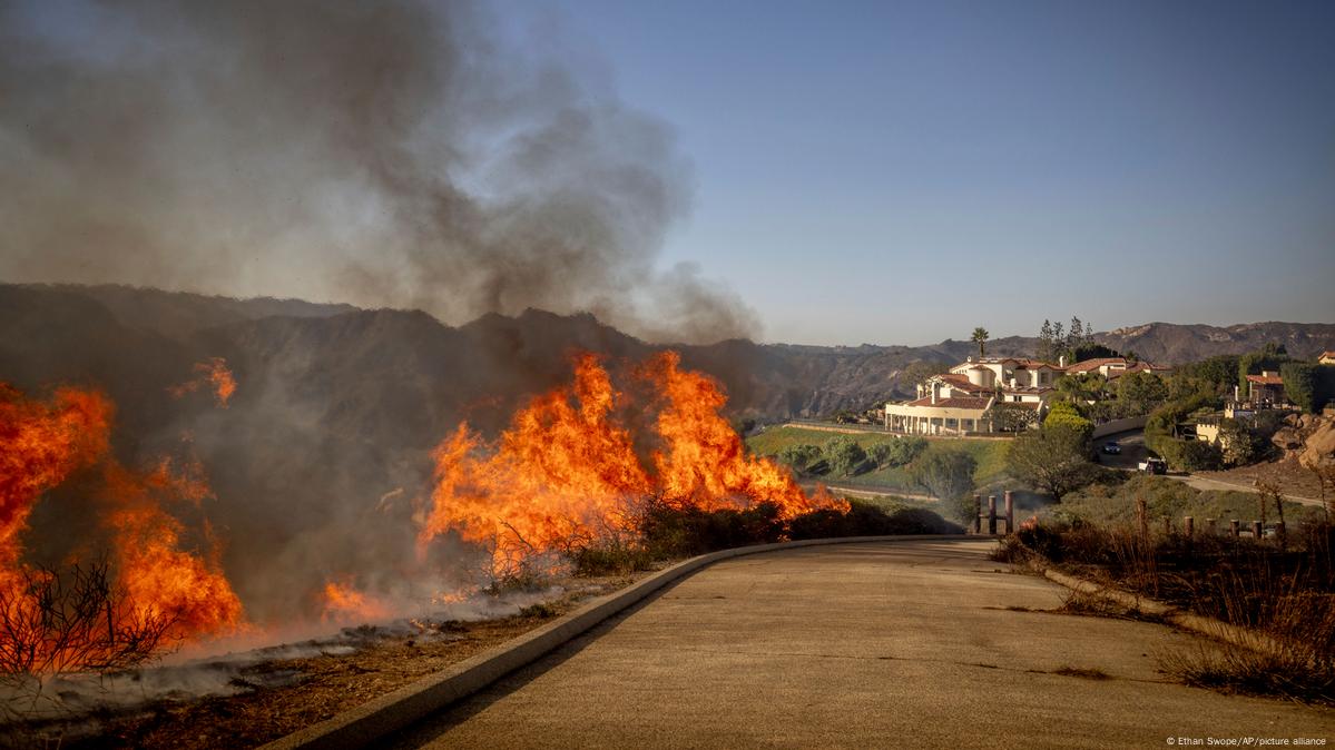 Wildfires